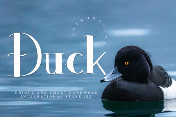 Duck Display Font for Marketing That Feels Handcrafted and Human